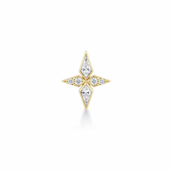 Tia 14K Gold Earring with Diamond Setting